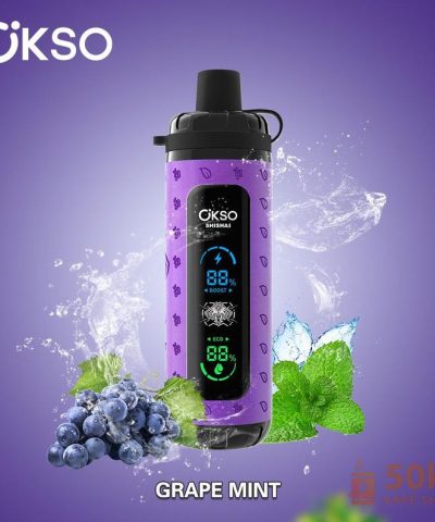 OKSO Shisha Max 40000 Puffs Disposable Vape - dobíjecí zařízení se síťovou cívkou