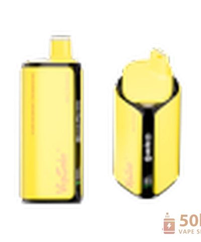 Alternativní pohled na Vapsolo Quads 80000 Disposable Vape - 4 Tanks, 80K Puffs, Mesh Coil